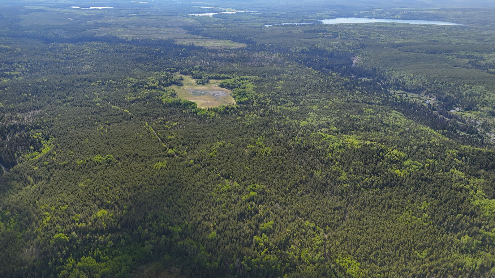 Affordable 521Acre Recreational Parcel Surrounded by Crown Land