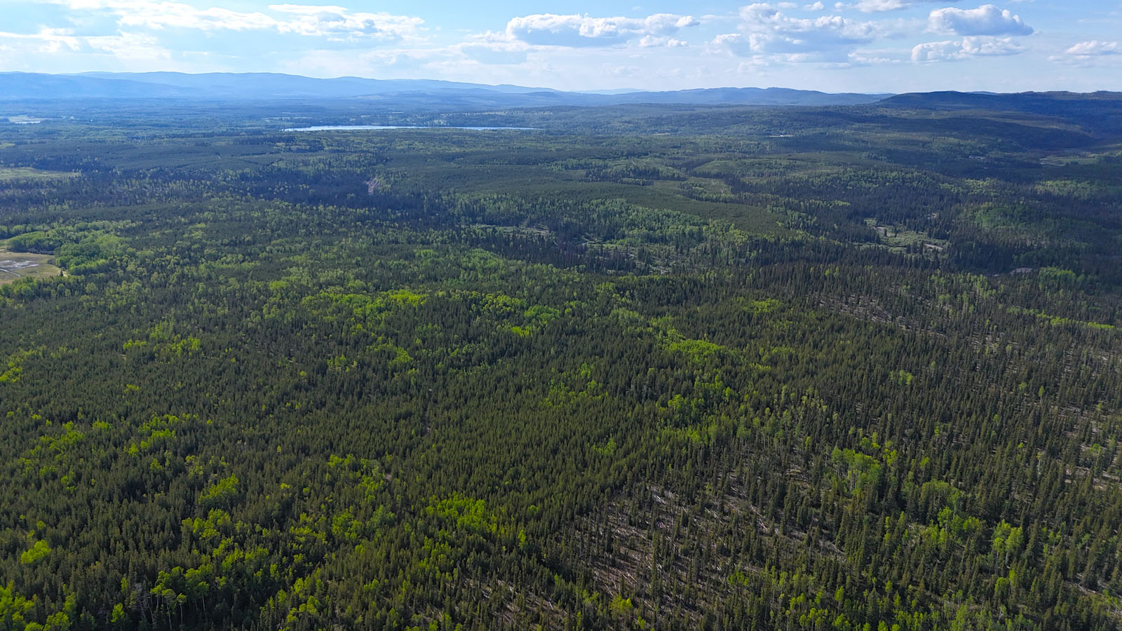 Affordable 521Acre Recreational Parcel Surrounded by Crown Land