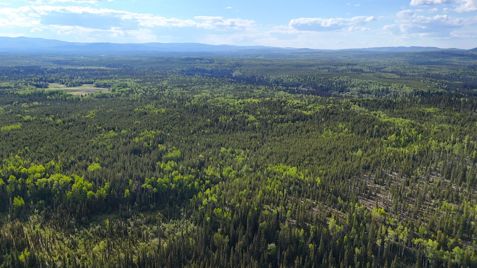 Affordable 521Acre Recreational Parcel Surrounded by Crown Land