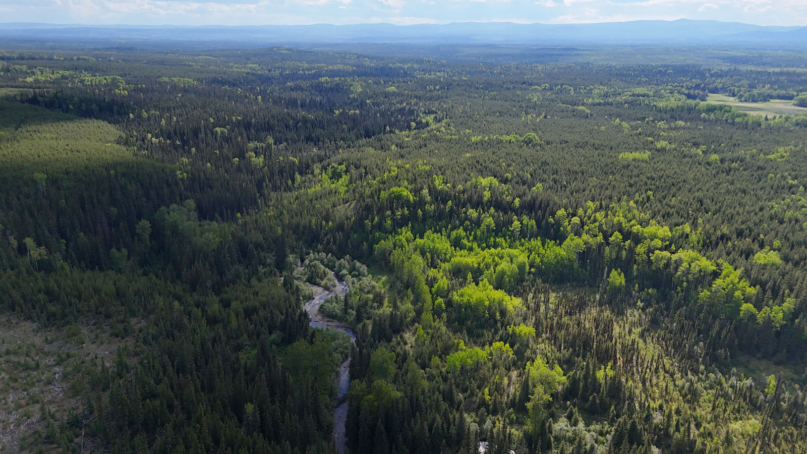 Affordable 521Acre Recreational Parcel Surrounded by Crown Land