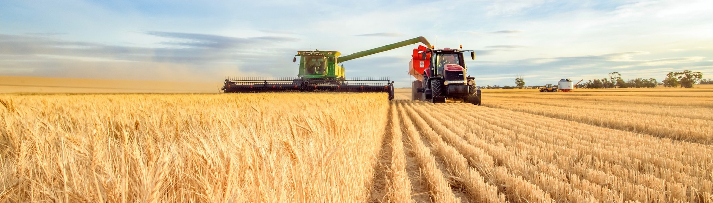 Landquest alberta auction