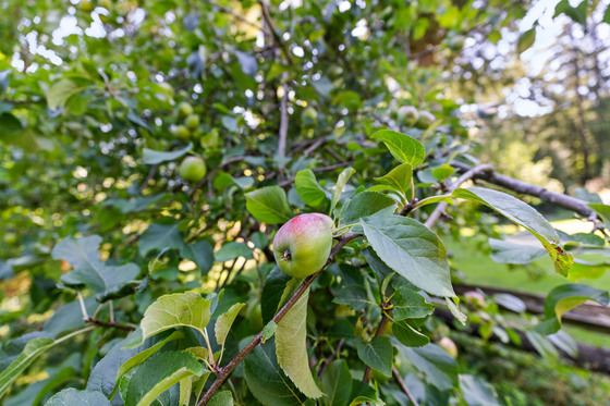 Thumb hope estate 087