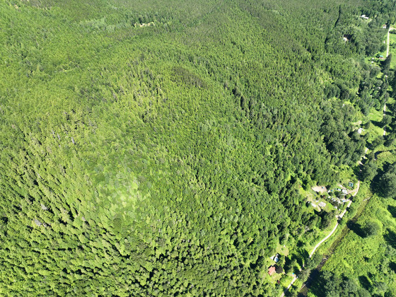 Thumb usk treed lot 13