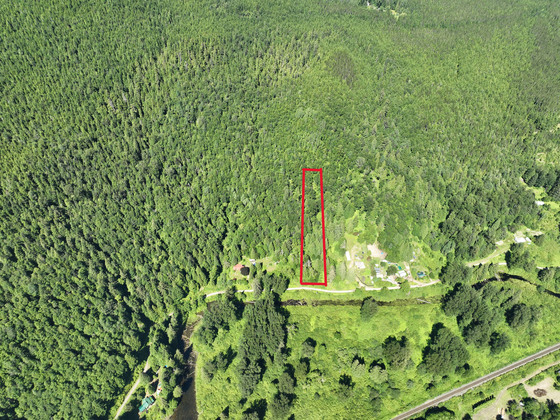 Thumb usk treed lot 14