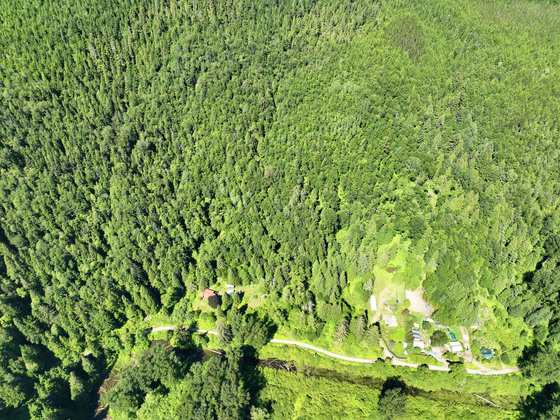 Thumb usk treed lot 15