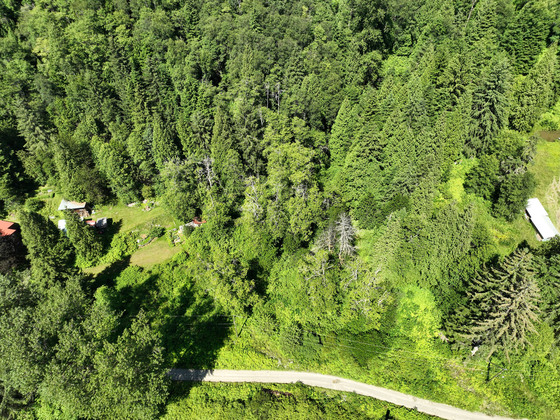 Thumb usk treed lot 18