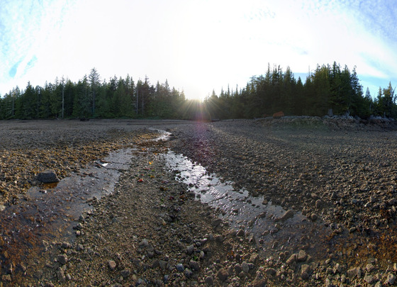 Thumb photo29