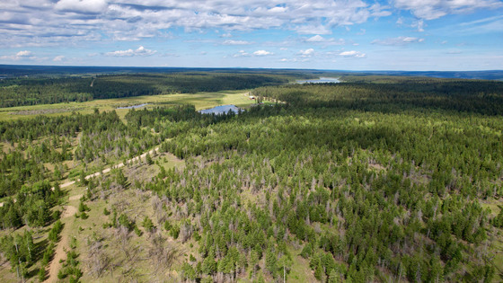 174 Acre Fenced Bare Land - 103 Mile House, BC - Cariboo/Chilcotin