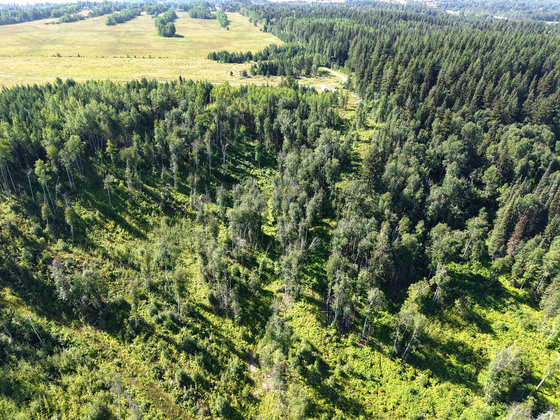 Thumb quesnel agricultural acreage 36