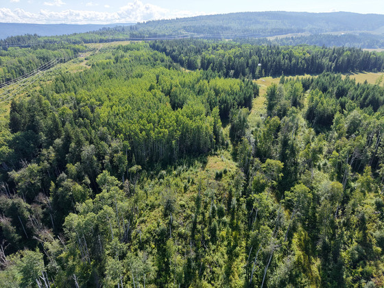 Thumb quesnel agricultural acreage 37