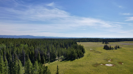 160 Acre Off-Grid Homestead - Anahim Lake - Cariboo/Chilcotin 