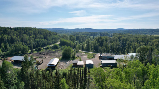 Thumb horsefly lumber mill 04