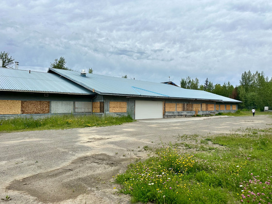 Thumb horsefly lumber mill 08