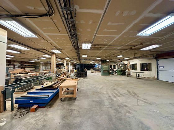 Thumb horsefly lumber mill 09