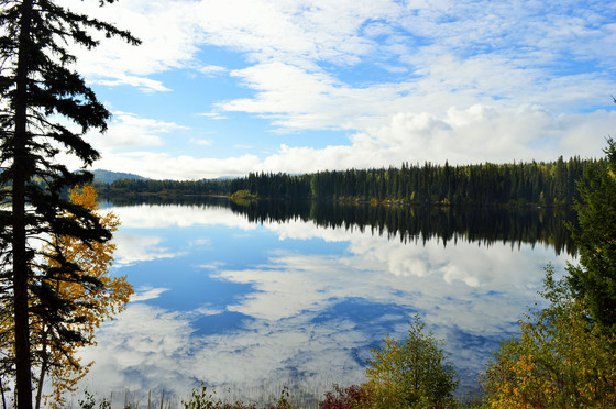 Thumb murphy lake acerage 02