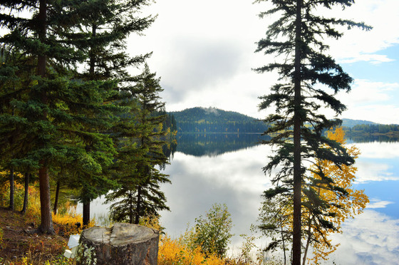 Thumb murphy lake acerage 03