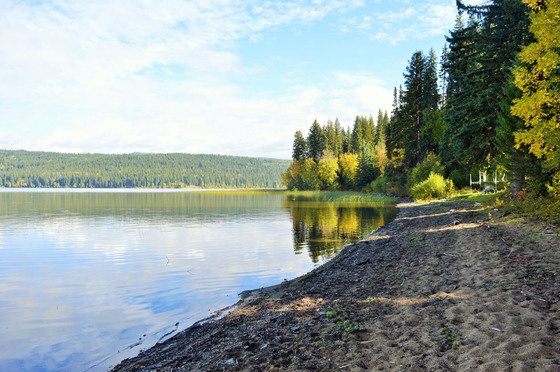 Thumb murphy lake acerage 04