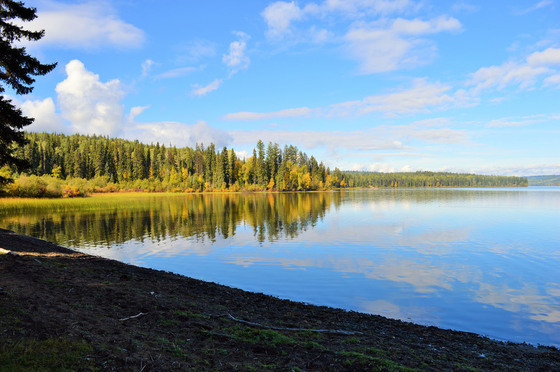 Thumb murphy lake acerage 05