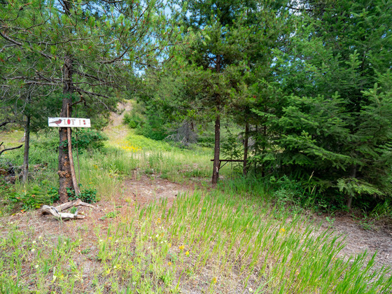 2.7 Acre Lot at Princess Hills Cooperative - Beaverdell, BC