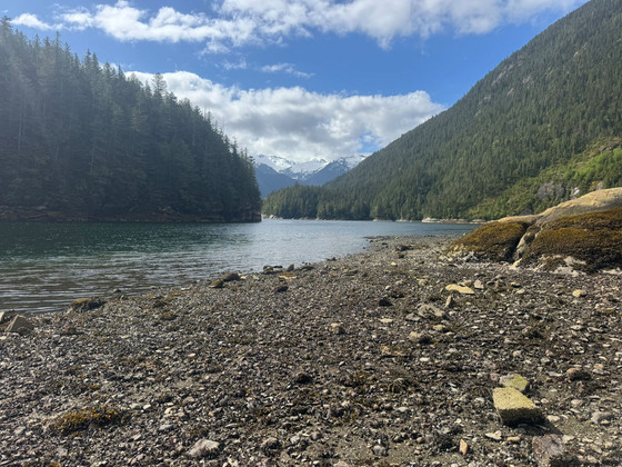Thumb ecuott bay oceanfront 13