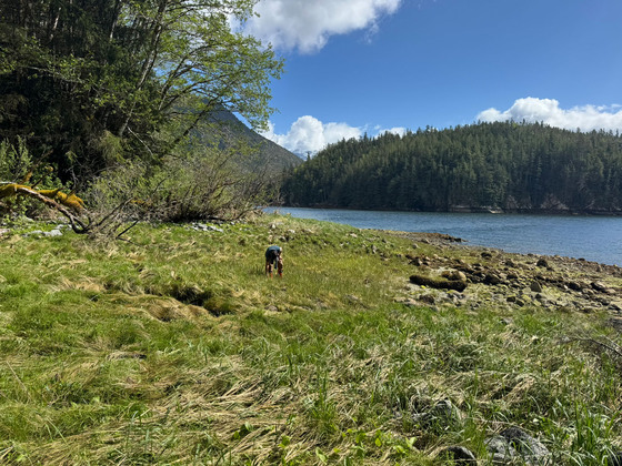 Thumb ecuott bay oceanfront 19