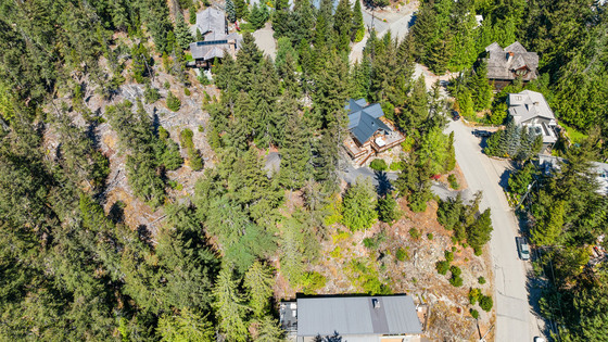 Thumb whistler mountain residence 02