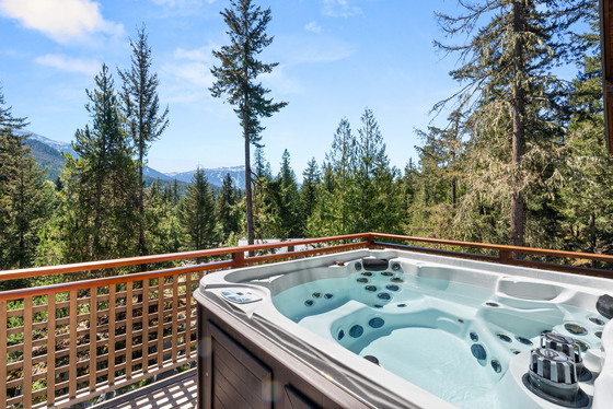 Thumb whistler mountain residence 37