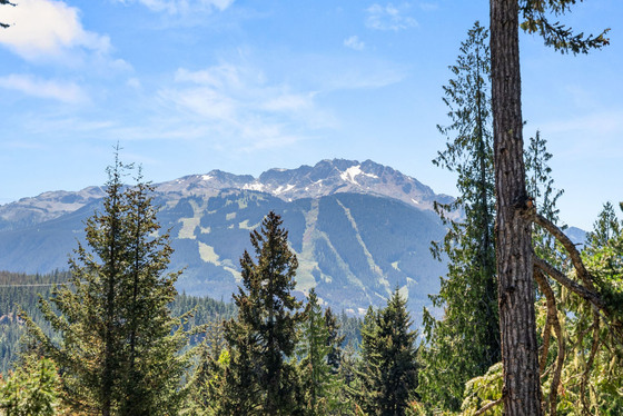 Thumb whistler mountain residence 39