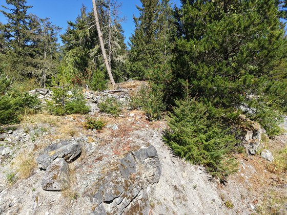 Thumb whistler mountain residence 50