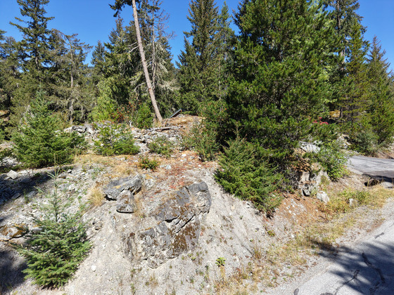 Thumb whistler mountain residence 51