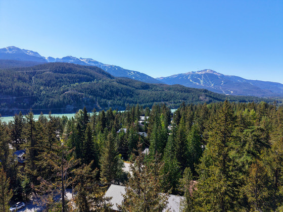 Thumb whistler mountain residence 60