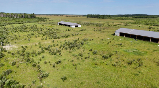 Thumb milligan creek ranch 25