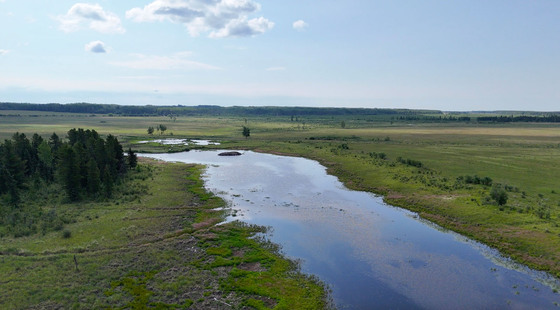 Thumb milligan creek ranch 40