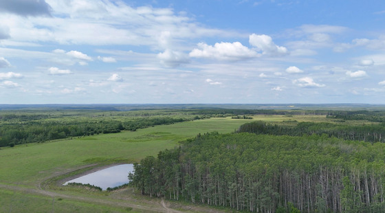 Thumb milligan creek ranch 51