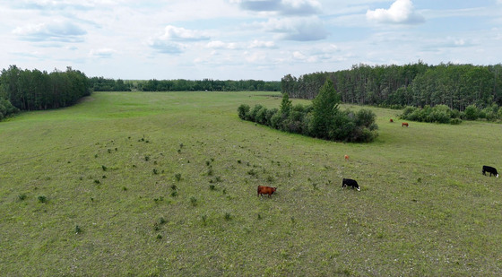 Thumb milligan creek ranch 57