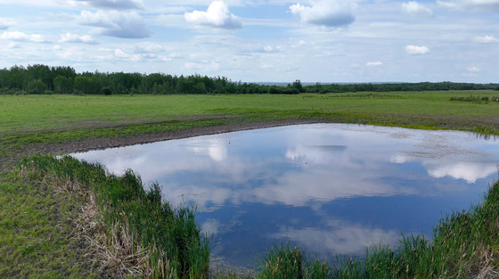 Thumb milligan creek ranch 58