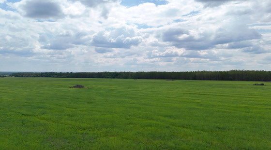 Thumb milligan creek ranch 60