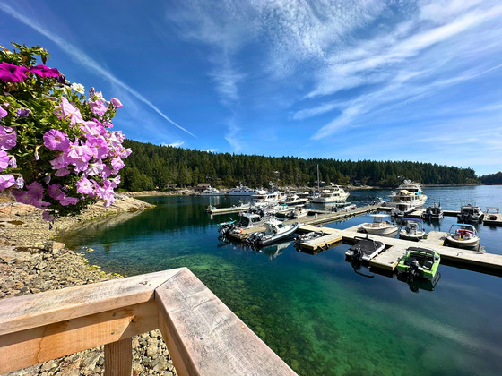 Thumb bliss landing waterfront home 55