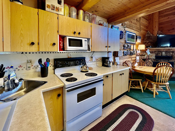 Thumb roche lake cabin 13