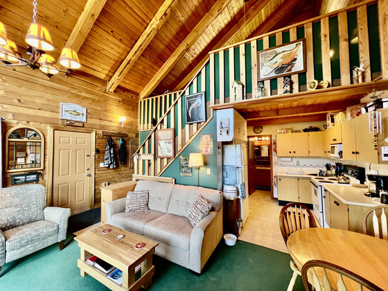 Thumb roche lake cabin 14