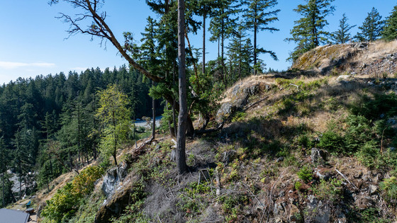 Thumb bowen island ocean view 10