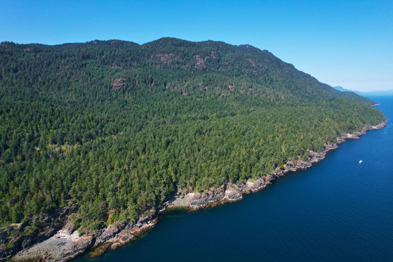 Thumb anderson bay oceanfront acreage 03