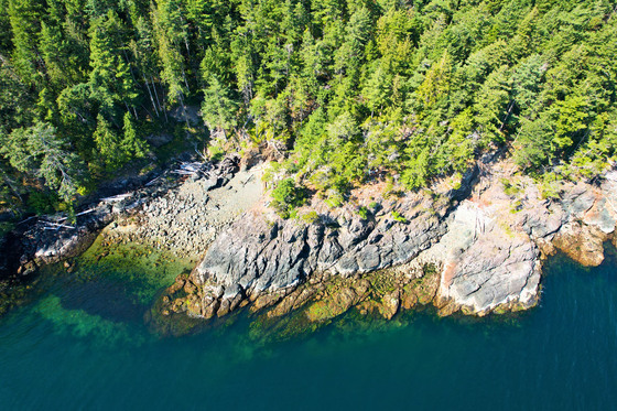Thumb anderson bay oceanfront acreage 05