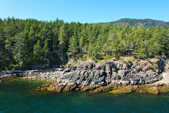 Thumb anderson bay oceanfront acreage 06