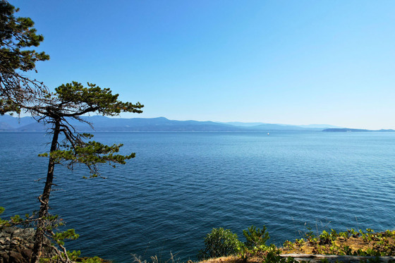 Thumb anderson bay oceanfront acreage 07