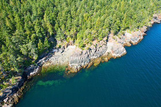 Thumb anderson bay oceanfront acreage 19