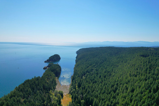 Thumb anderson bay oceanfront acreage 25