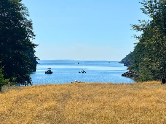 Thumb anderson bay oceanfront acreage 26