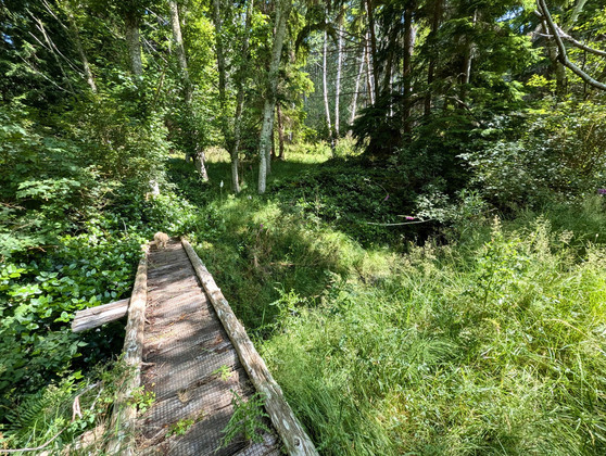 Thumb anderson bay oceanfront acreage 27