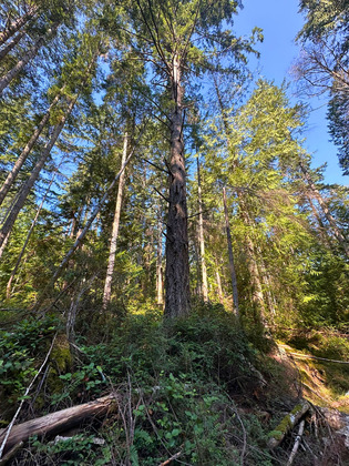 Thumb anderson bay oceanfront acreage 30